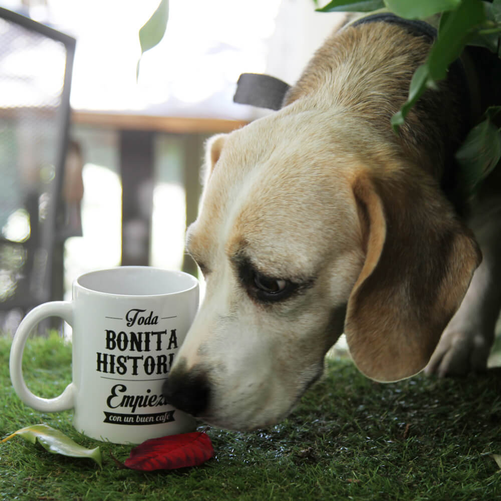 Taza "Toda bonita historia empieza con un buen café"