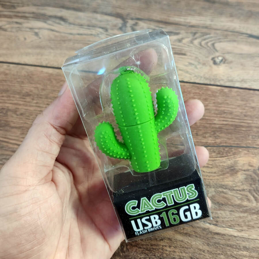 Memoria USB 16 Gb modelo Cactus