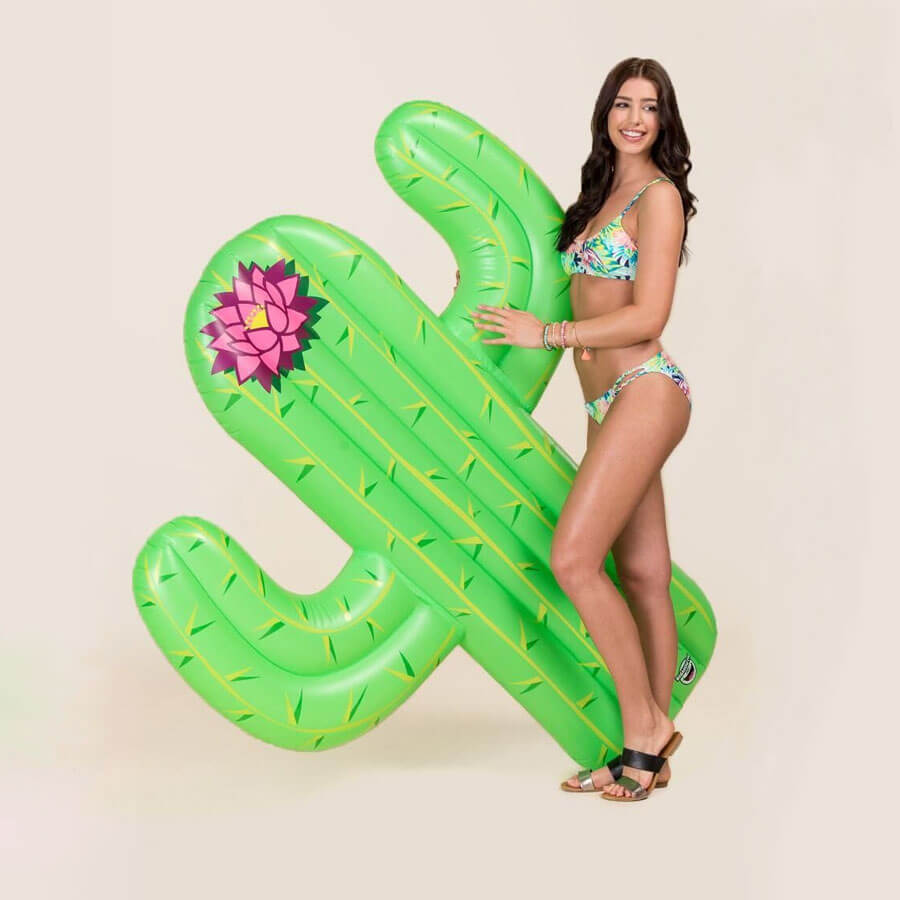 Flotador colchoneta diseño Cactus gigante