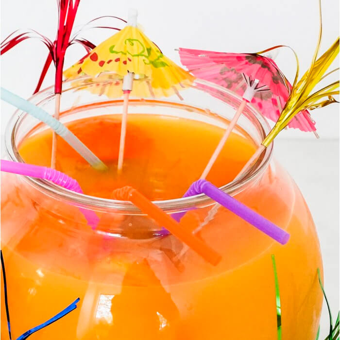 Set Cocktail Pecera