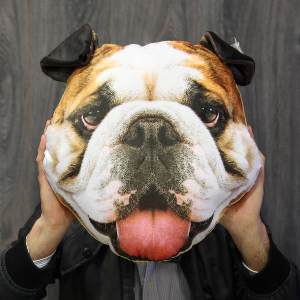 Cojín cara de Bulldog