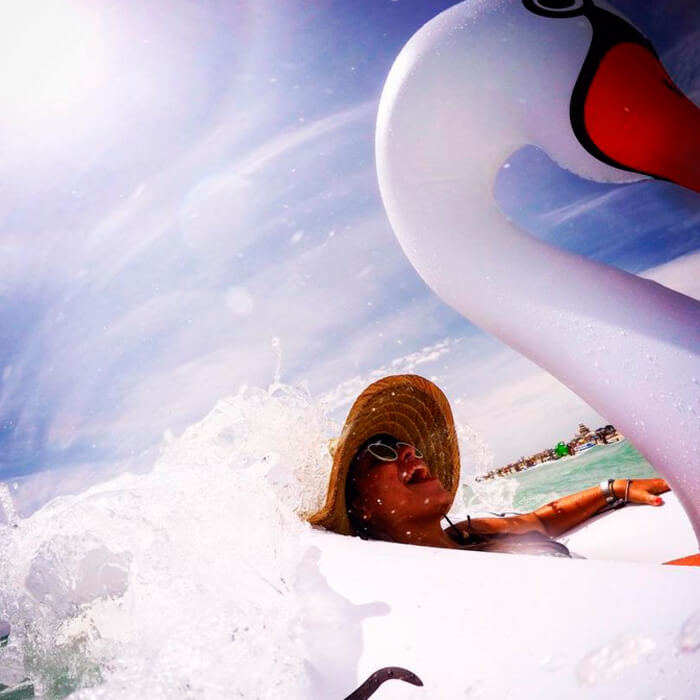 Flotador Cisne negro o blanco gigante