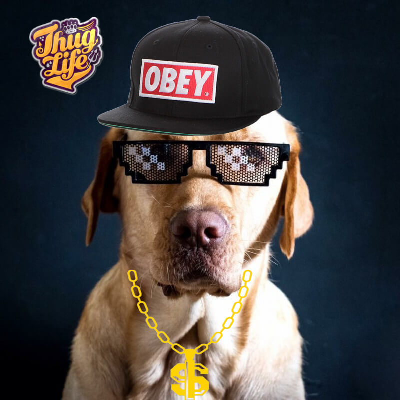 Gafas Thug Life - Deal with it