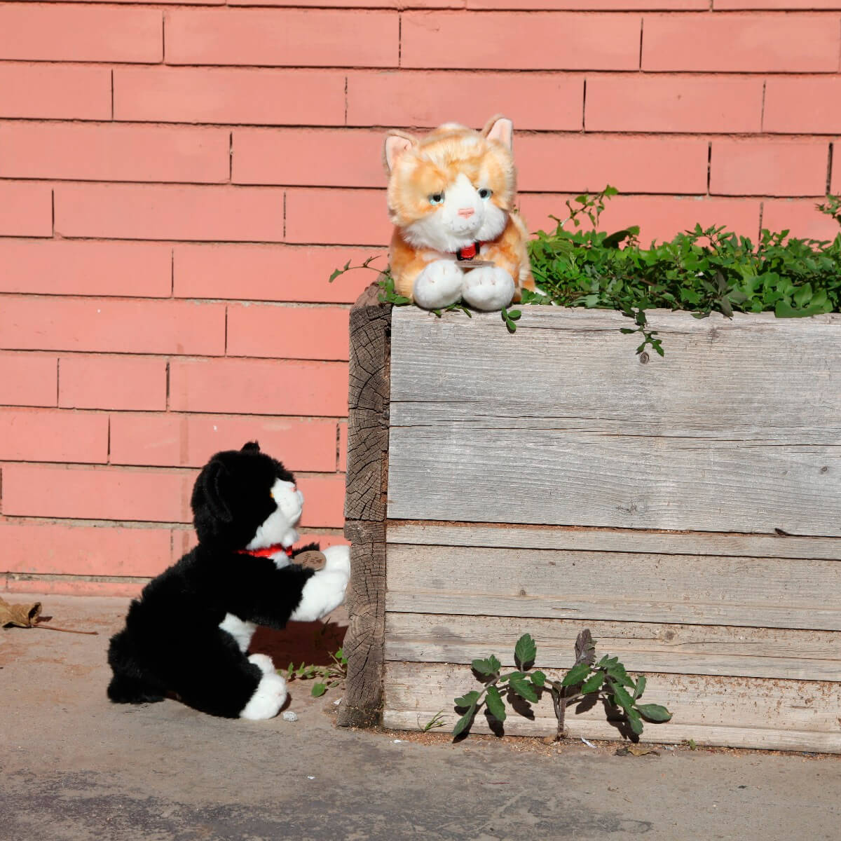 Gato de peluche pelirojo Amber Ginger