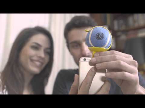 Petselfie - La mejor foto de tu mascota