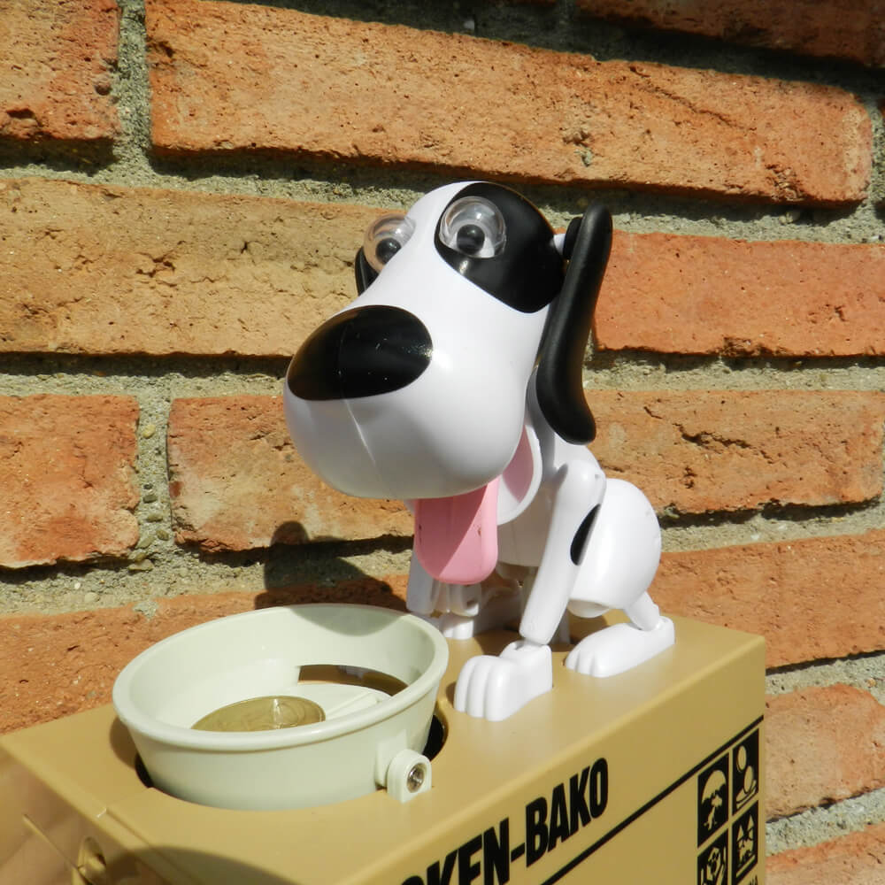 hucha perro comiendo