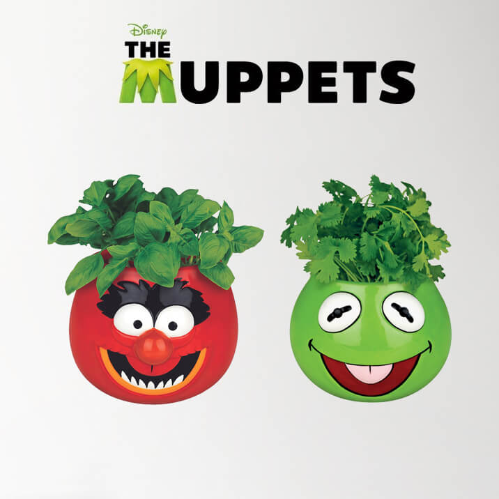 Macetero de cerámica The Muppets (Los Teleñecos)