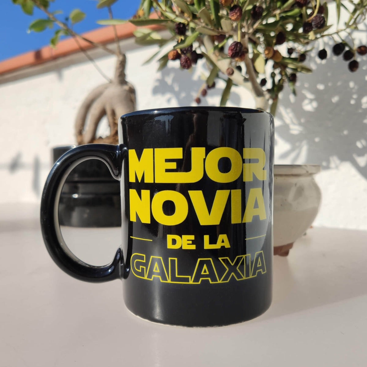 Taza para la Mejor Novia de la Galaxia