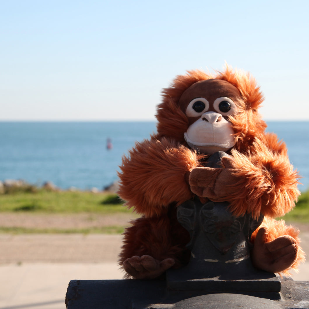 Orangután de peluche de 30 centímetros_Wakabanga