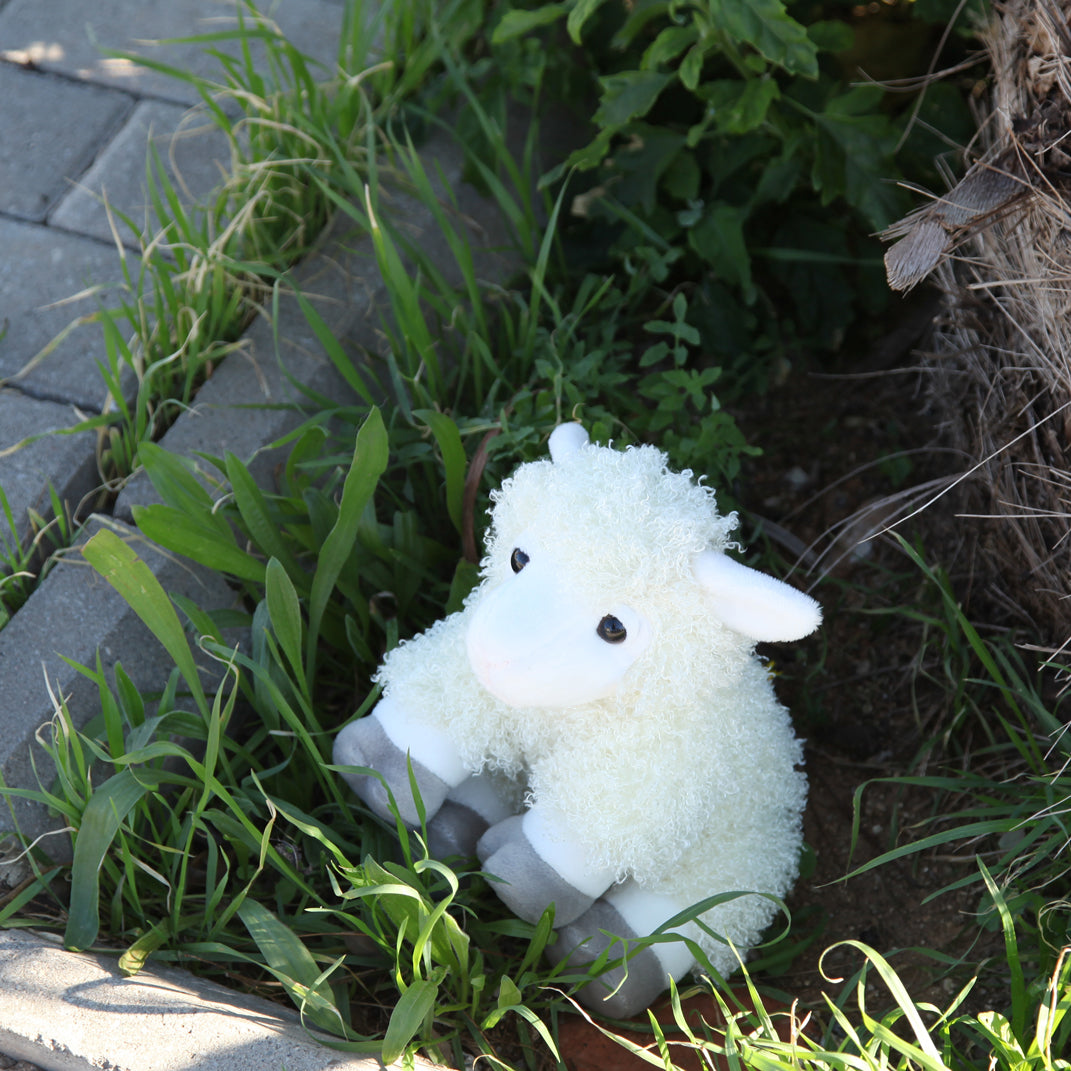 Oveja de peluche