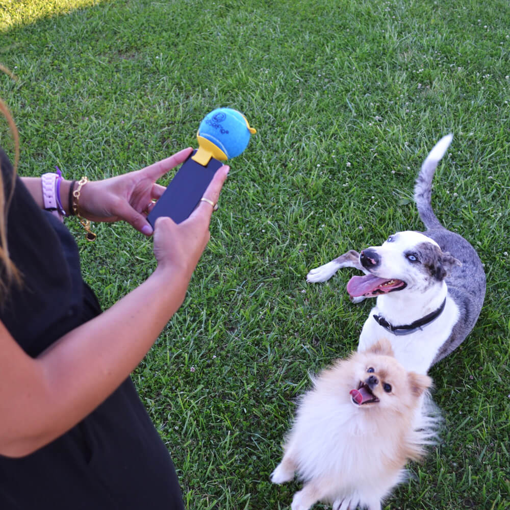 Petselfie