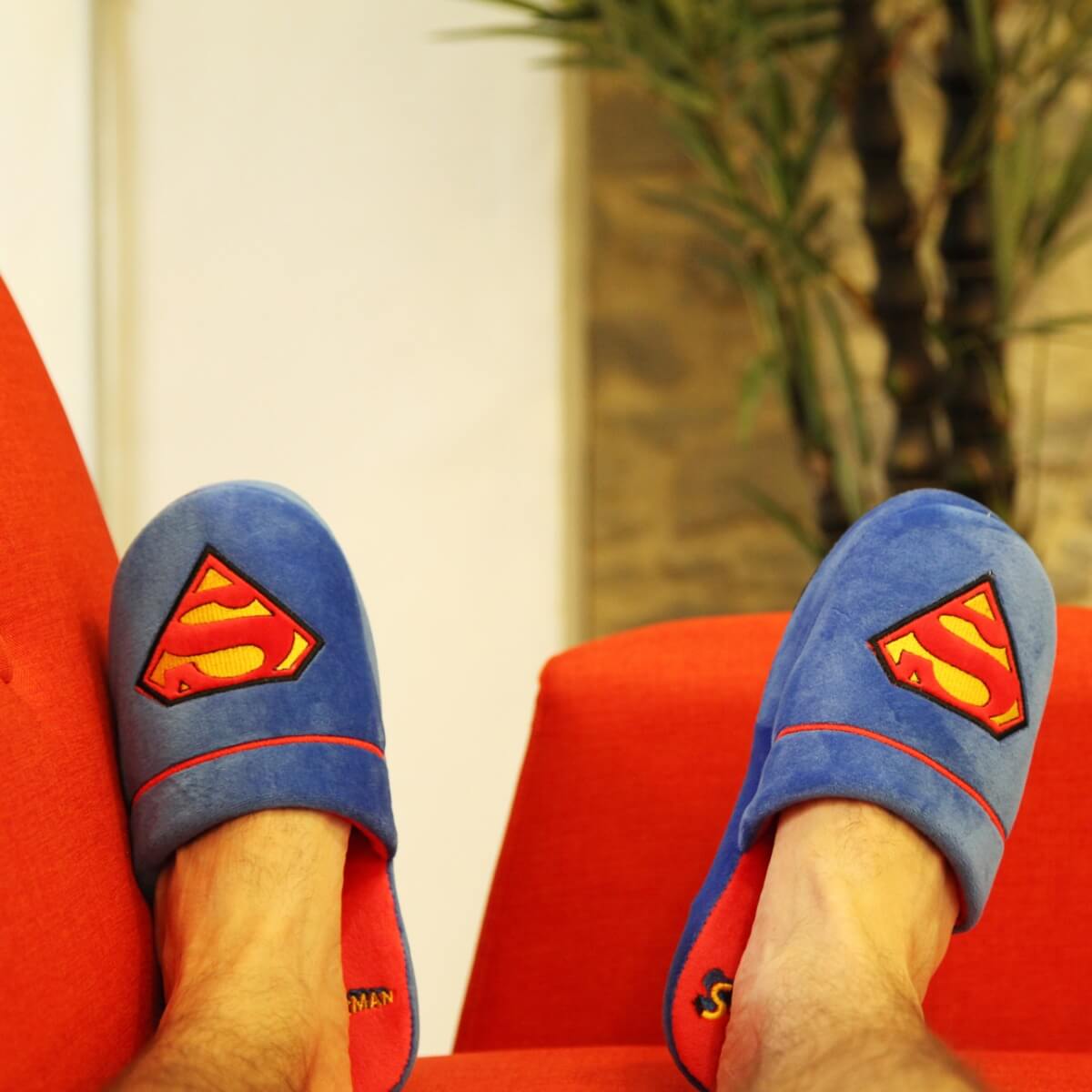 Zapatillas Superman