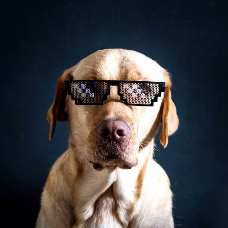 Gafas Deal with it - Thug Life