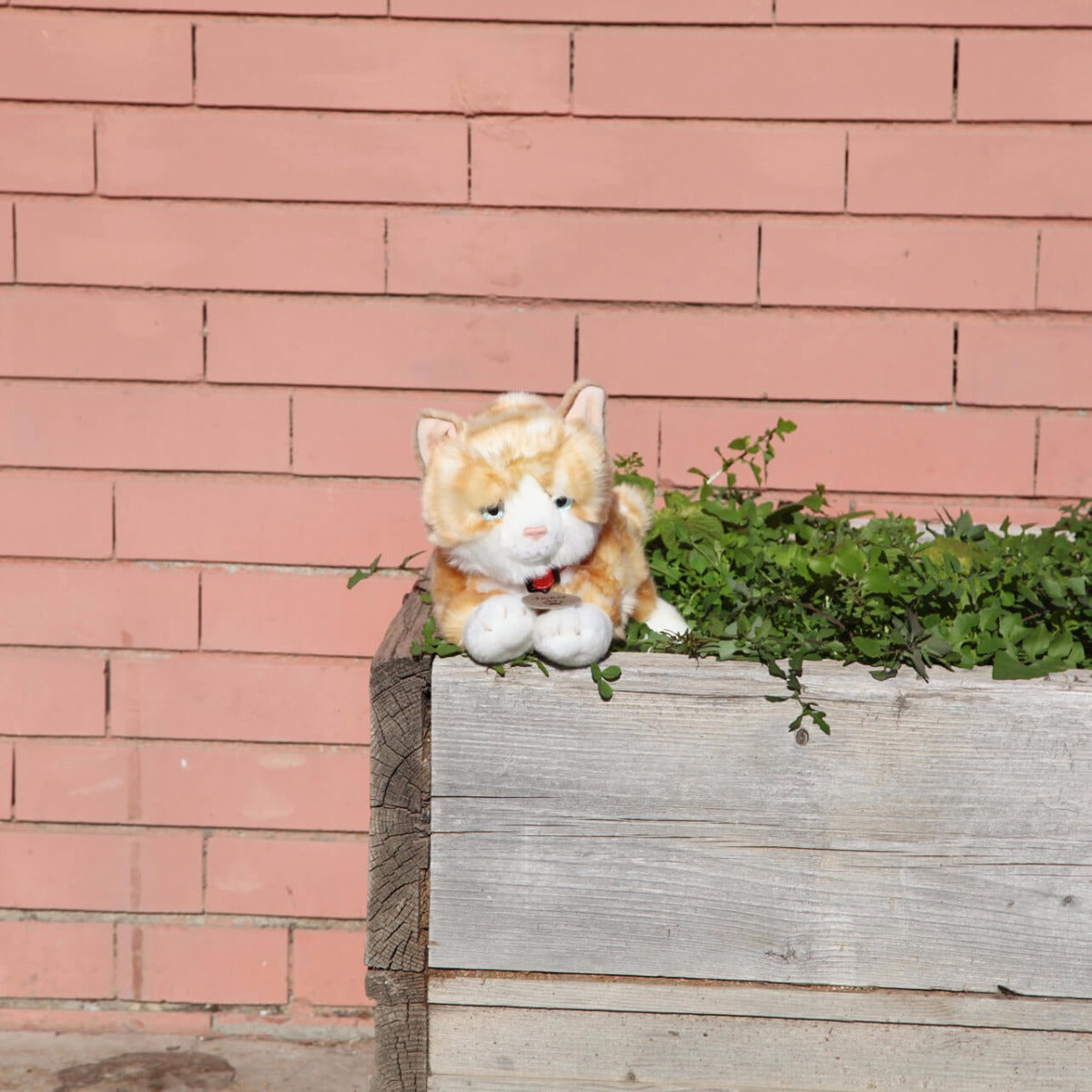 Gato de peluche pelirojo Amber Ginger