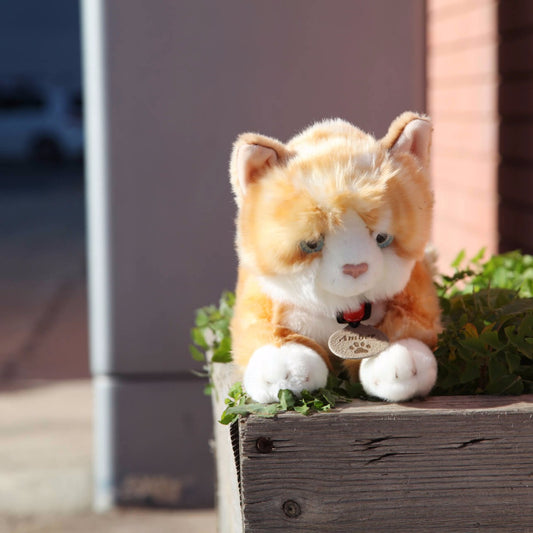 Gato de peluche pelirojo Amber Ginger