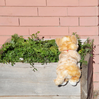 Gato de peluche pelirojo Amber Ginger
