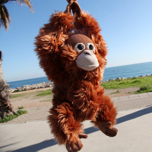 Orangután de peluche