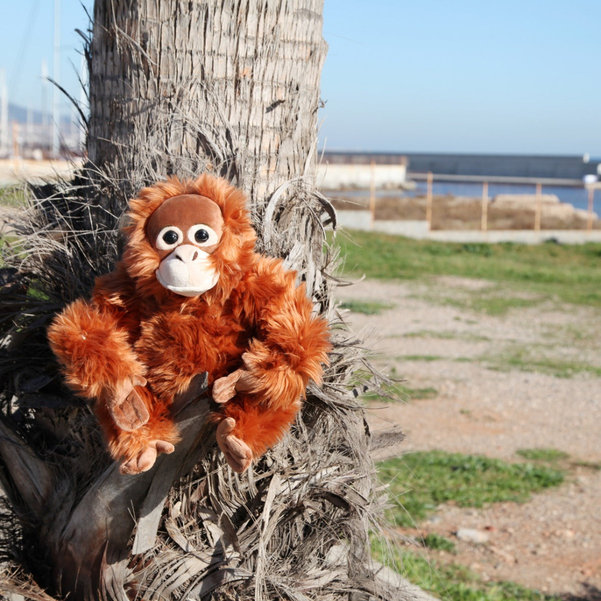 Orangután de peluche de 30 centímetros_Wakabanga